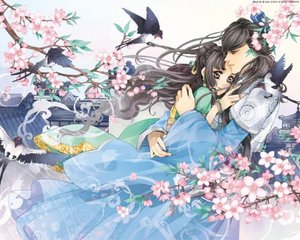 今日看料网页版